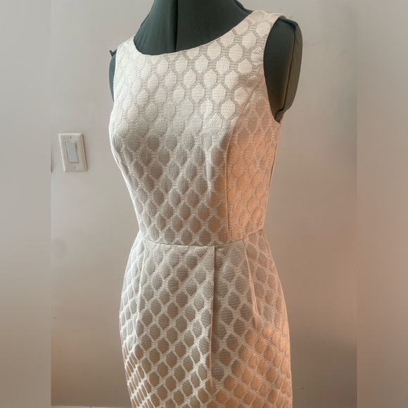 White House black market dress - Picture 2 of 11